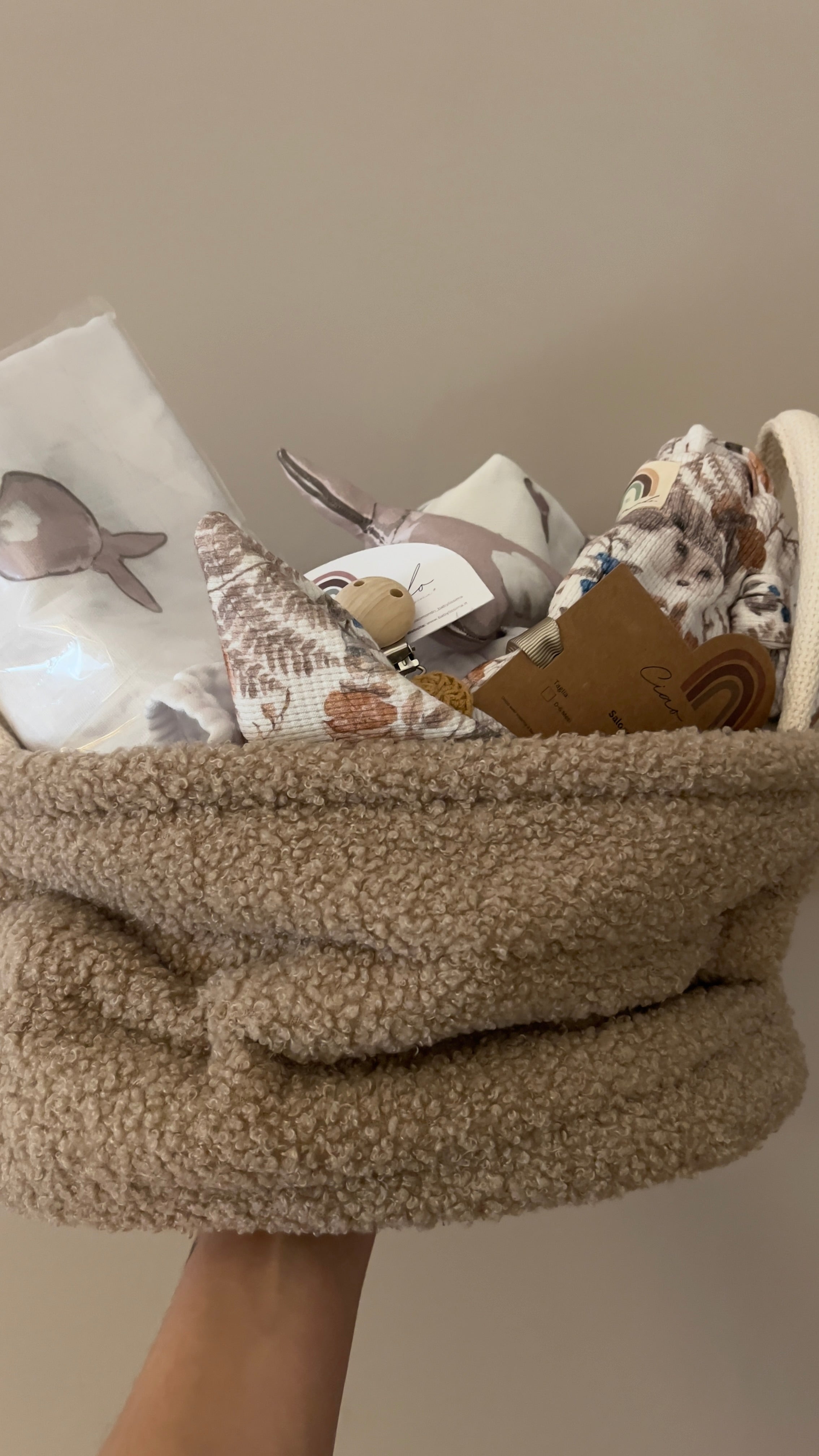 Organizer Storage Basket TEDDY