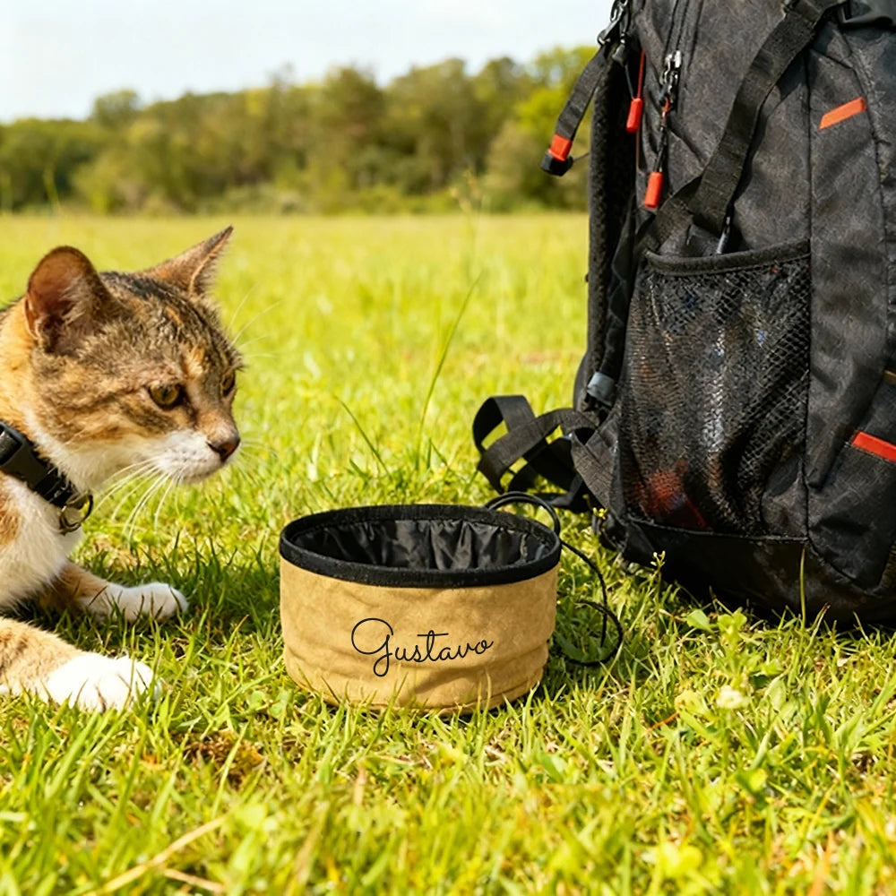 Ciotola pieghevole personalizzata per cani e gatti - C